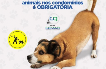 Maus tratos contra animais no condomínio