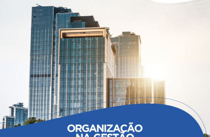 Organização na Gestão