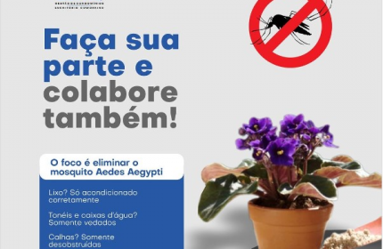 Todos contra a Dengue